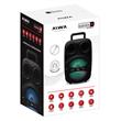 Parlante Portátil Aiwa AW-P240D-SN 2500Watts                               