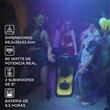 Parlante Portátil Stromberg Carlson Tone 80Watts                           