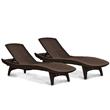 Set 2 Reposeras de Jardin Keter Pacific Wooland                            