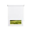 Cortina Roller Blackout 100% 150x225 Varios Colores