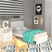 CAMA 1 PL FIONA EXPRESS