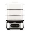 Vaporera Peabody PE-ST1000IX 9 Lts 950Watts                                