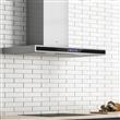Campana TST Colhue 300-60 60Cm Acero                                       