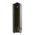 Termotanque a Gas Rheem TGNP150RH 150Lts C/Sup                             