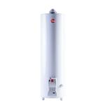 Termotanque Rheem TPG150GNRH 150Lts Línea Funcional C/Sup                  