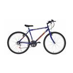 Bicicleta Mountain Bike Fiorenza Alpina Rodado 26                          