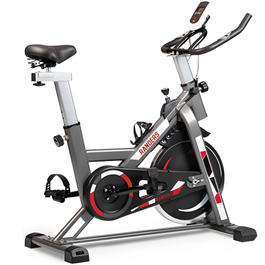 Aparato de Gimnasia Randers ARG 874 Bicicleta Fija Indoor                  