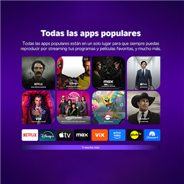 Roku Streaming Stick                                                       
