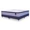 Conjunto Colchón y Sommier Sueñolar Terra Superking 200x200