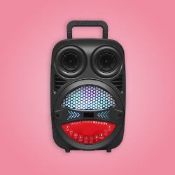 Audio